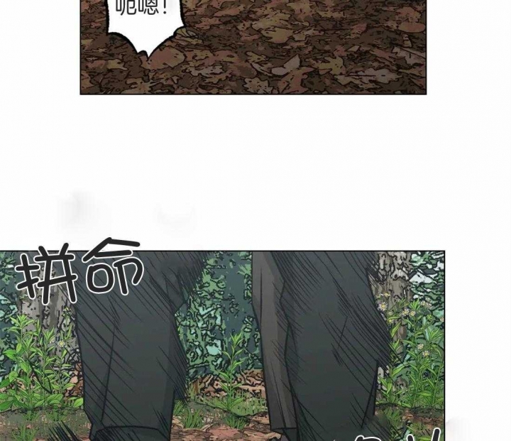 坠入爱河的杀手漫画,第34话2图