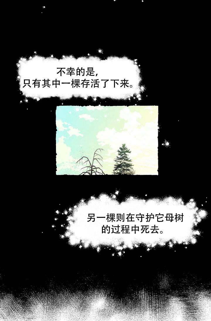 奋不顾身爱上你漫画,第1话1图