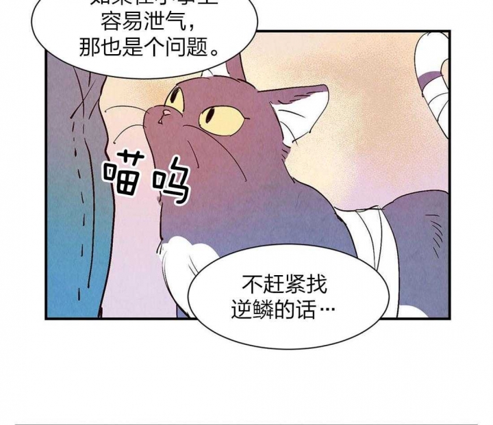 云雨之情漫画,第54话1图