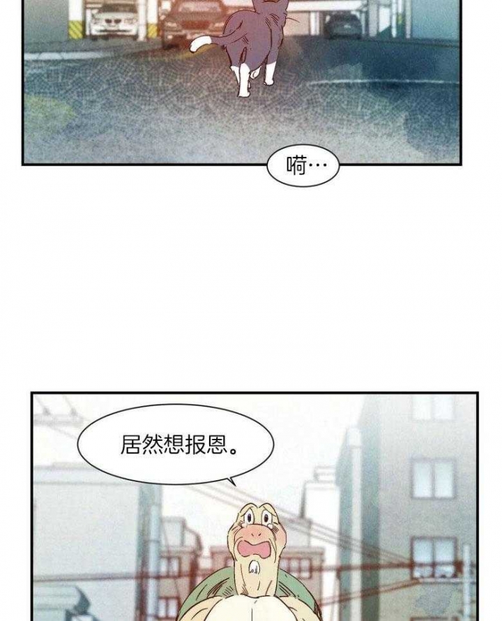 云雨之情是啥意思漫画,第79话2图