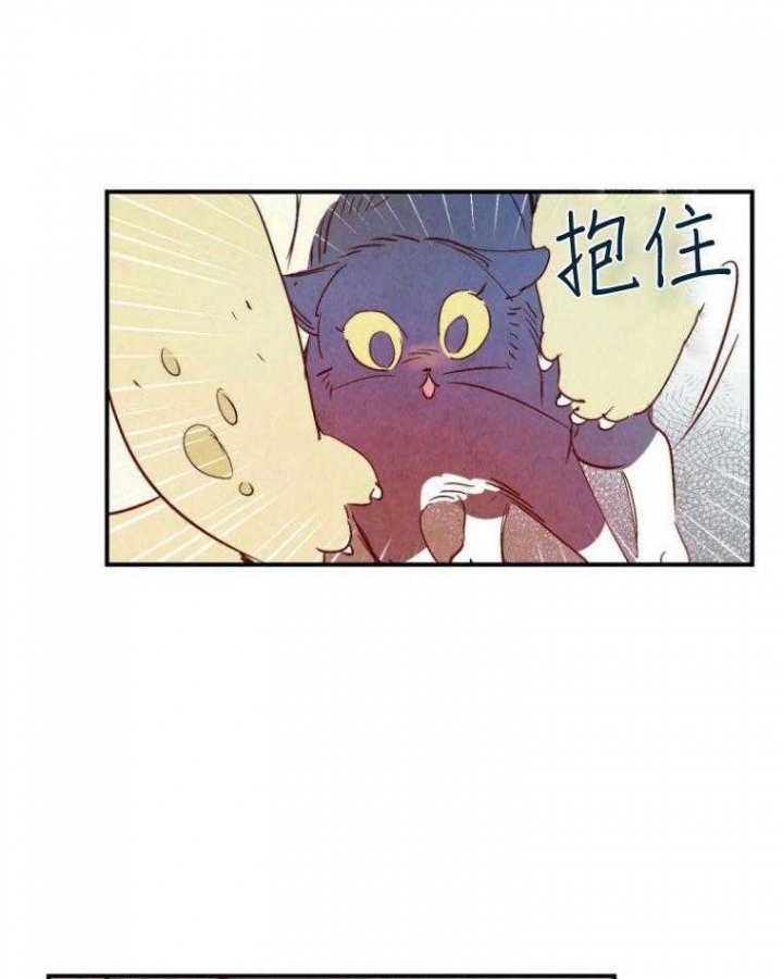 云雨赋原文及翻译漫画,第77话2图