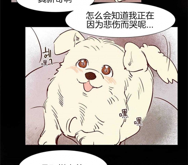 云雨之情是啥意思漫画,第42话1图