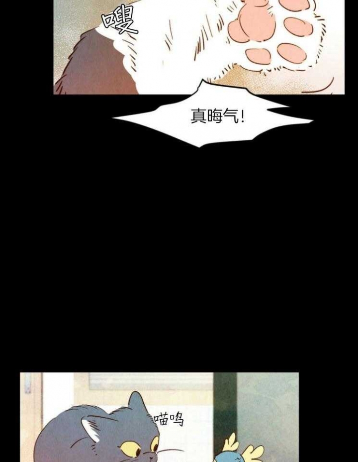 云雨之情漫画,第79话2图