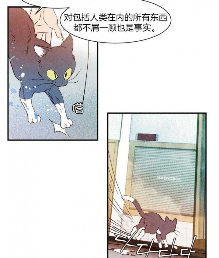 云雨之情漫画,第81话1图