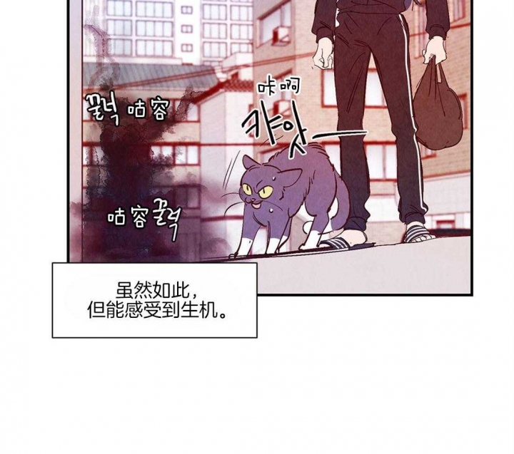 云雨之情是啥意思漫画,第48话1图