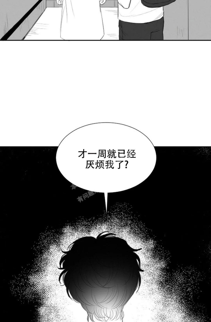 双子最爱漫画,第19话2图