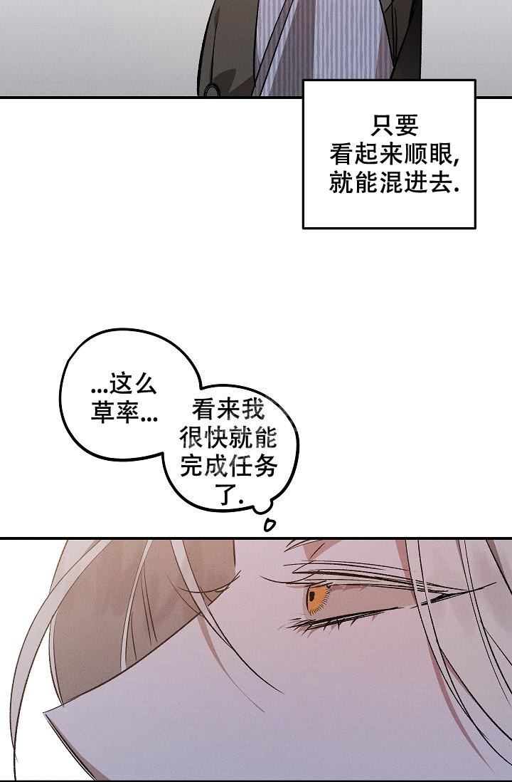 爱的合集开满薰衣草的庭院漫画漫画,第4话1图