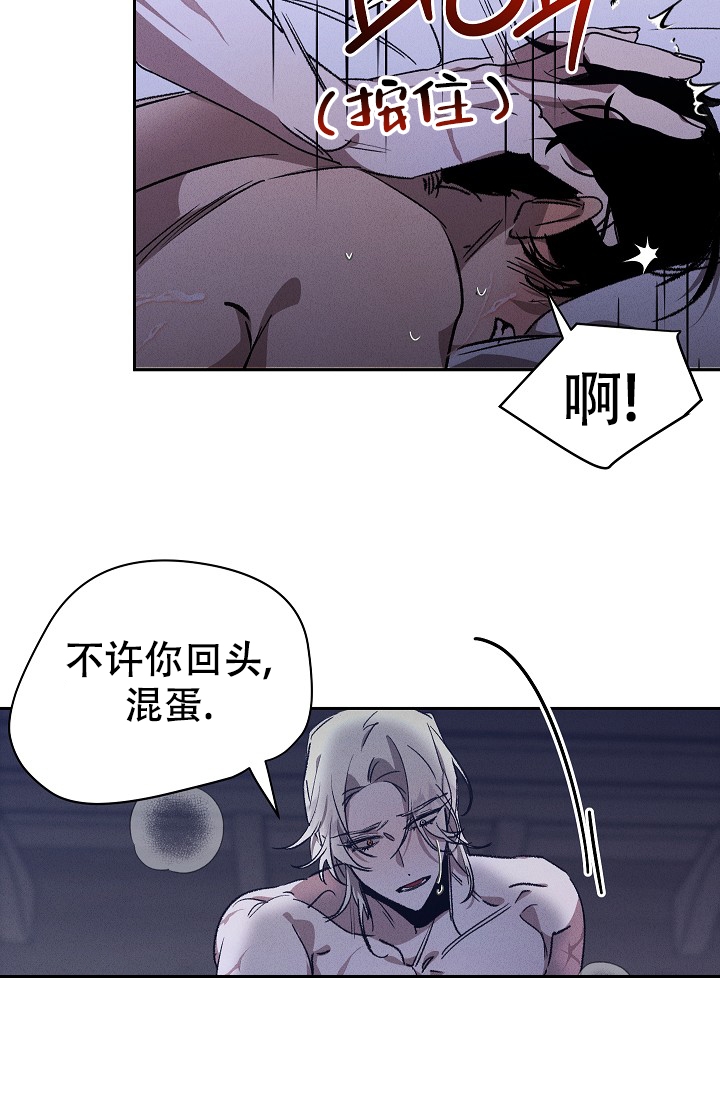 爱的合集开满薰衣草的庭院漫画免费下拉式漫画,第1话1图