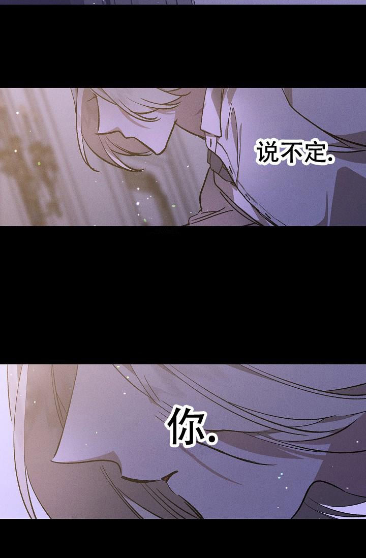 爱的合集开满薰衣草的庭院漫画免费下拉式漫画,第4话1图