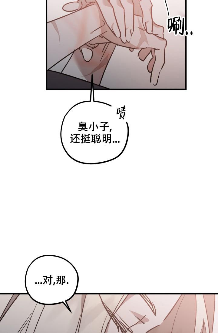 爱的合集开满薰衣草的庭院漫画漫画,第12话1图