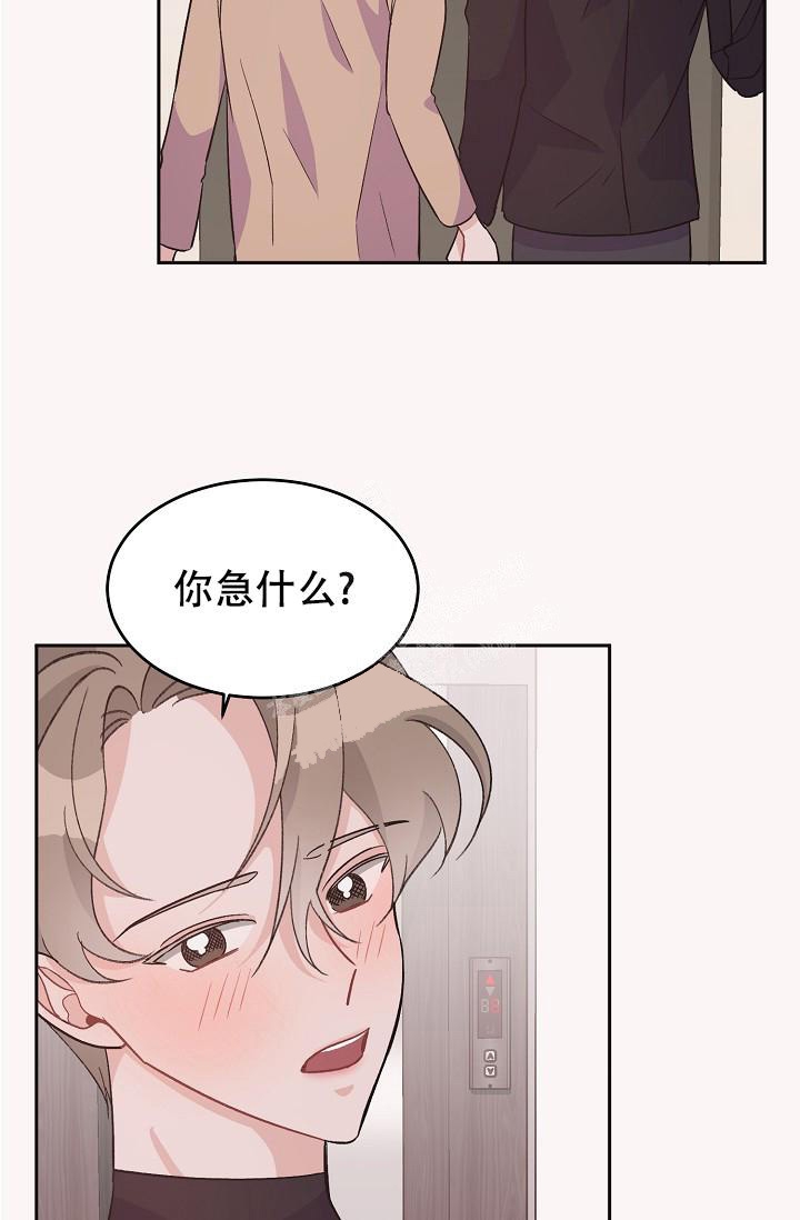 爱的合集开满薰衣草的庭院漫画免费下拉式漫画,第41话1图