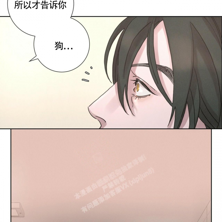 单相思打一个数字漫画,第5话2图