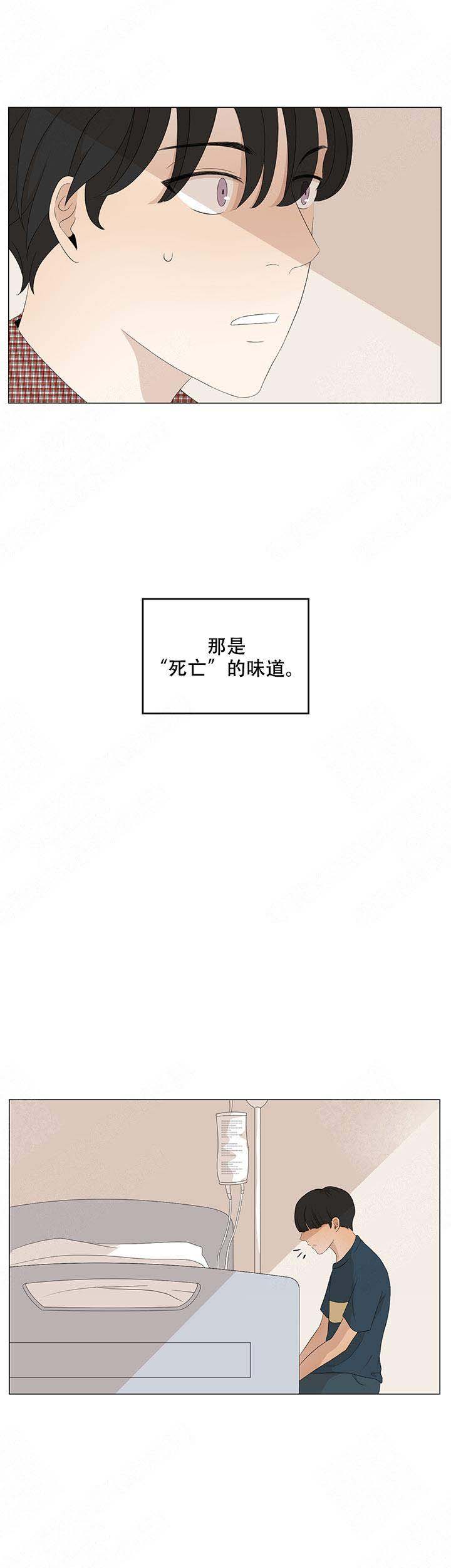 黑豆煮水喝有什么功效和作用漫画,第13话2图