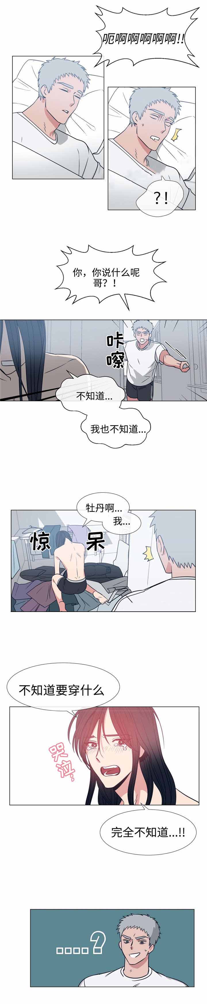 水仙花的养殖方法和注意事项漫画,第77话2图