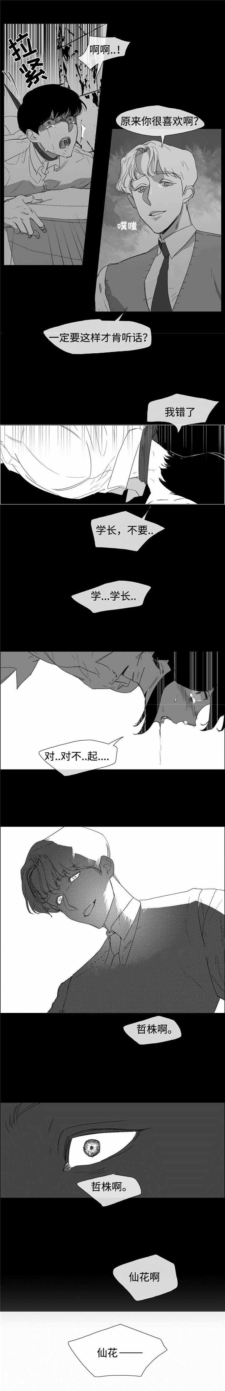 水仙花漫画,第13话1图