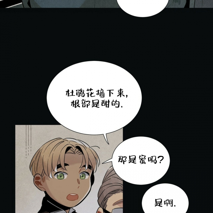 帕卢斯酒店漫画无删减漫画,第3话1图