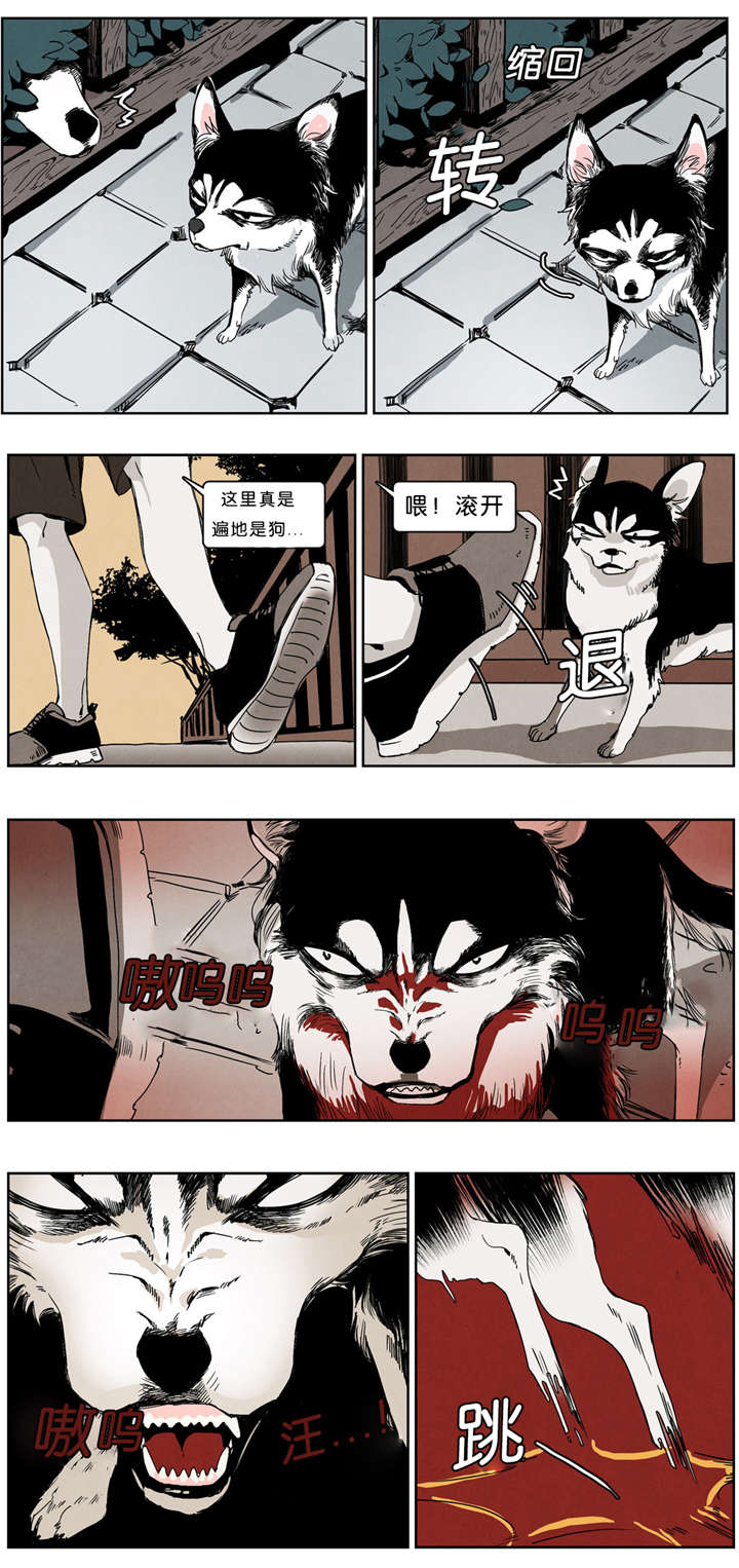 入夜为人漫画,第33话1图