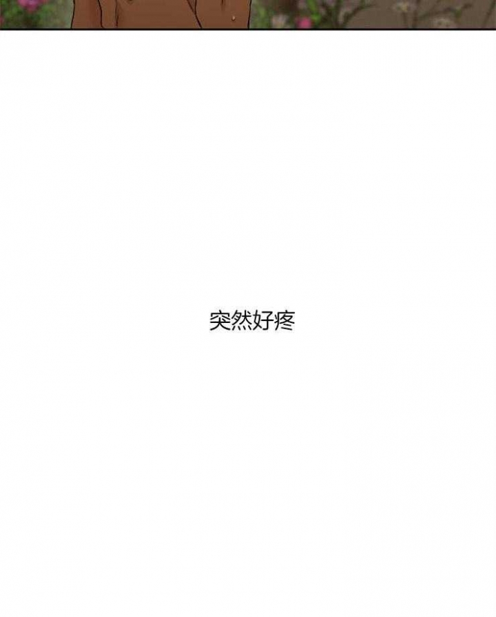 被驯服的虎哪里看漫画,第23话2图