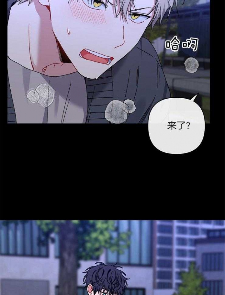 kiss定律漫画,第49话2图