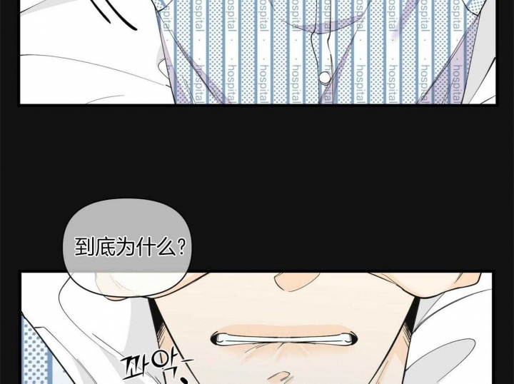 梦一样自由简谱漫画,第132话2图