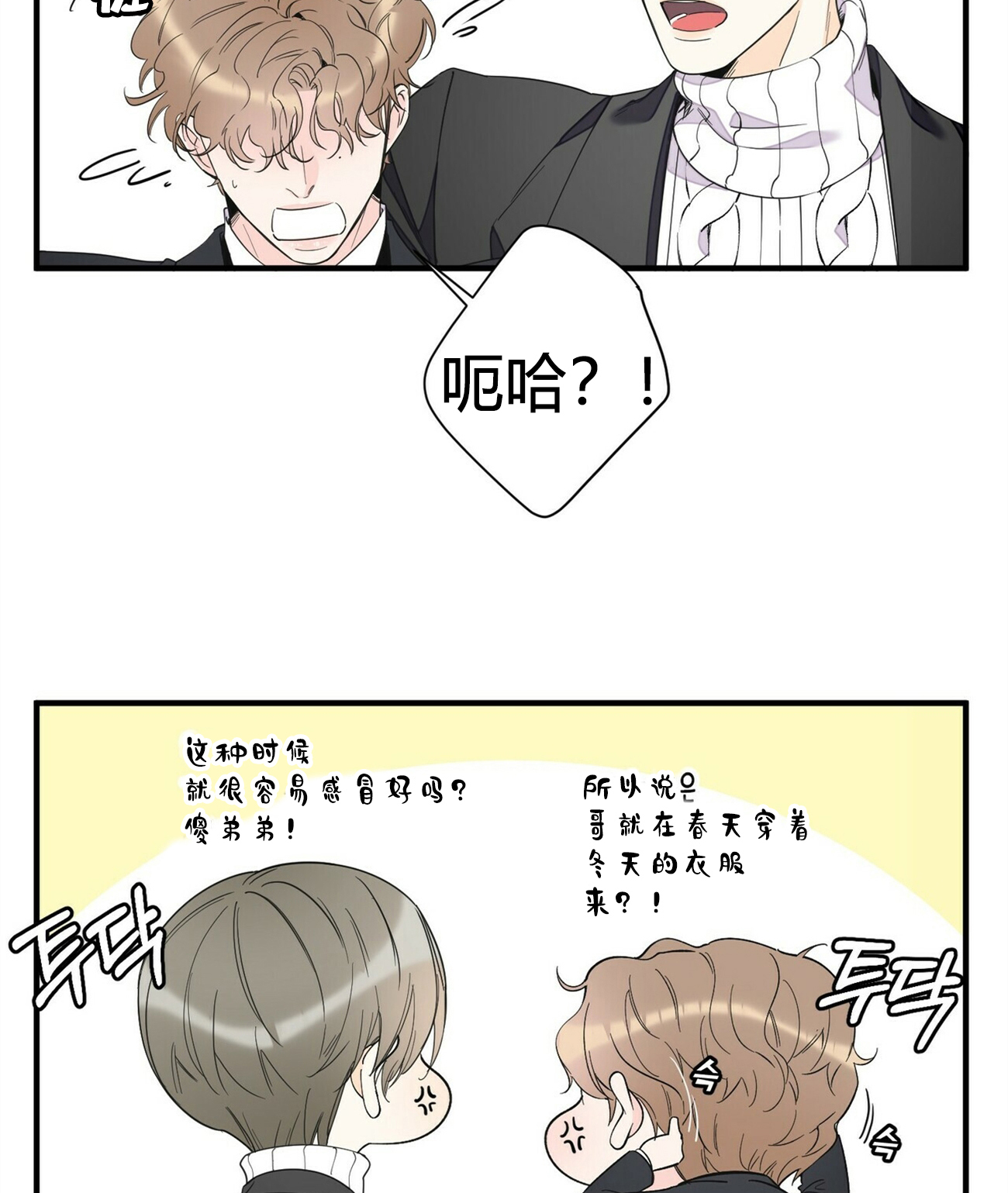 梦一样的谎言漫画,第81话2图