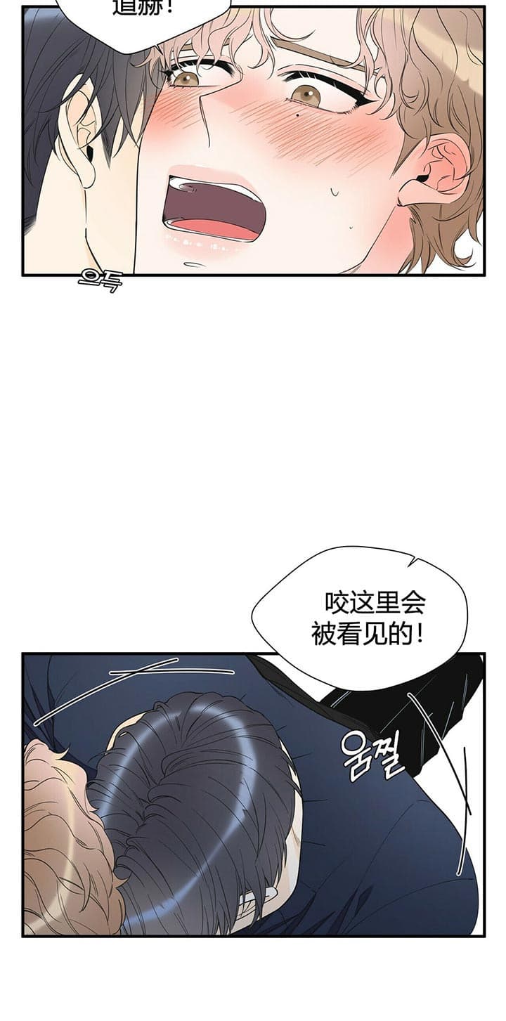 梦一样的谎言漫画全集免费阅读漫画,第85话2图