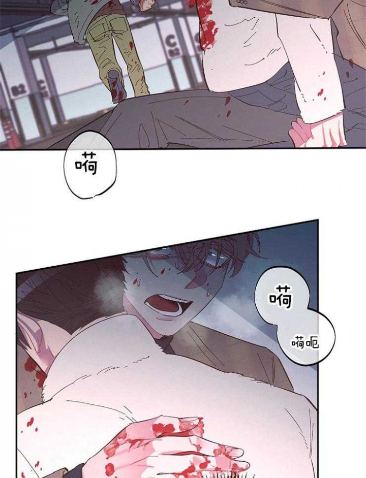 掌心之花未删减版漫画,第46话1图