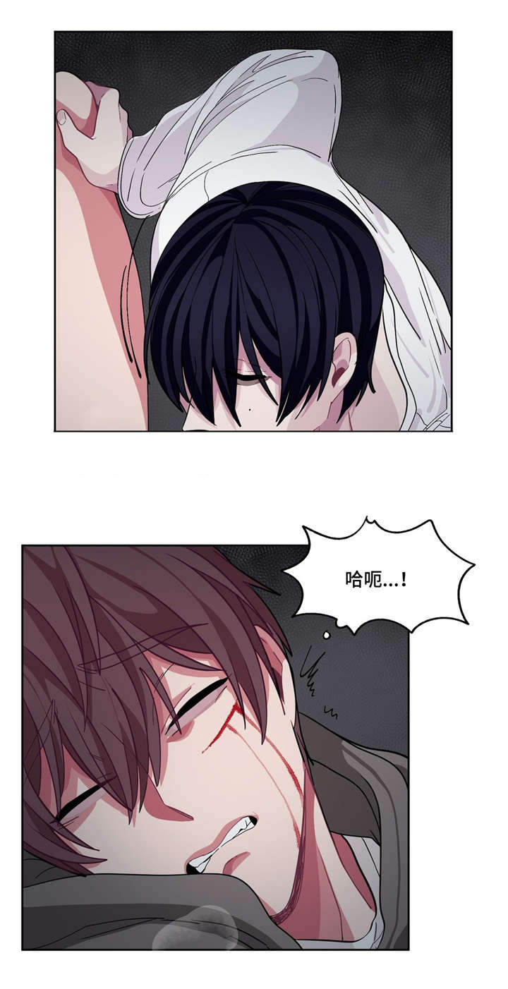 如何服从漫画,第14话1图