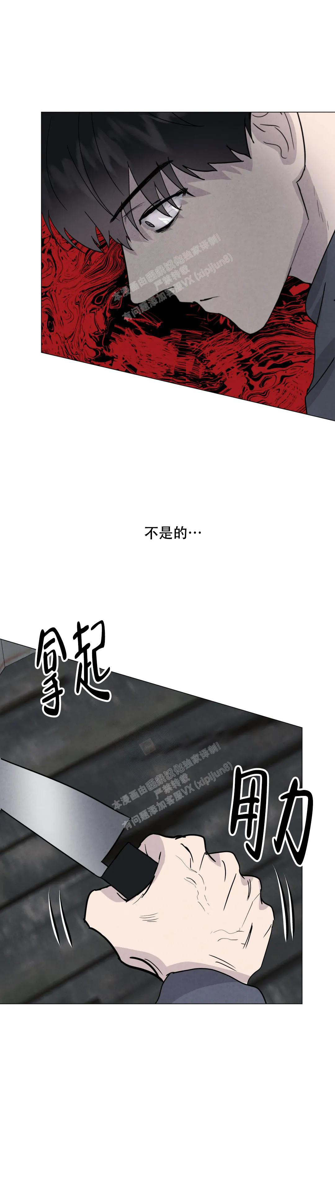 刺身鱼类大全图片漫画,第65话2图