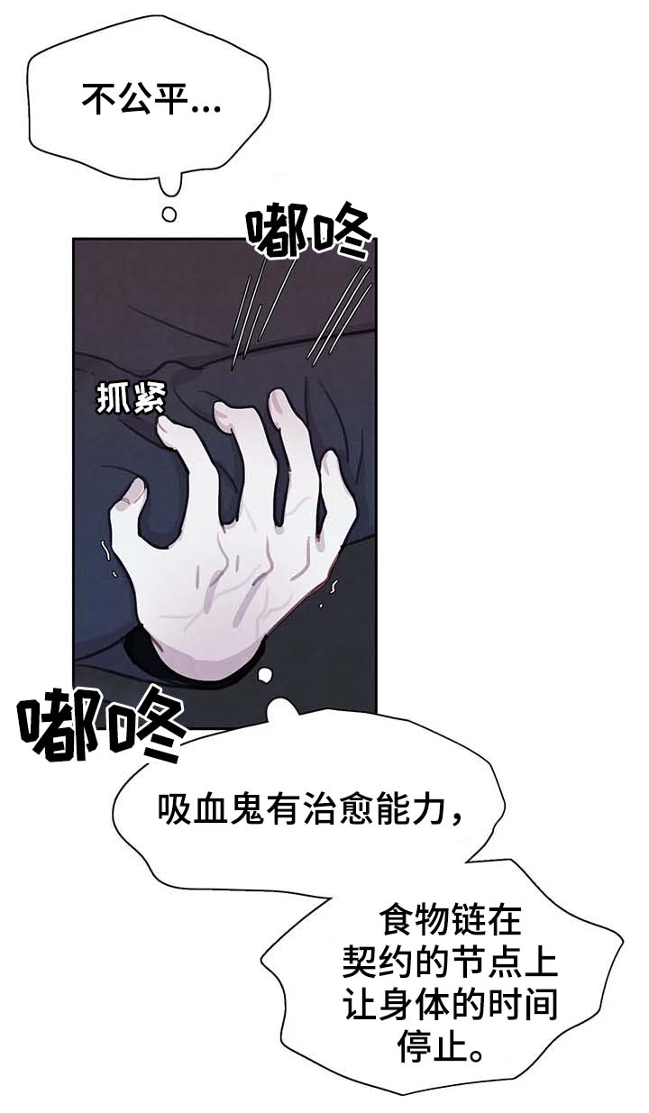 与蝙蝠共餐\/与吸血鬼共餐漫画,第46话2图