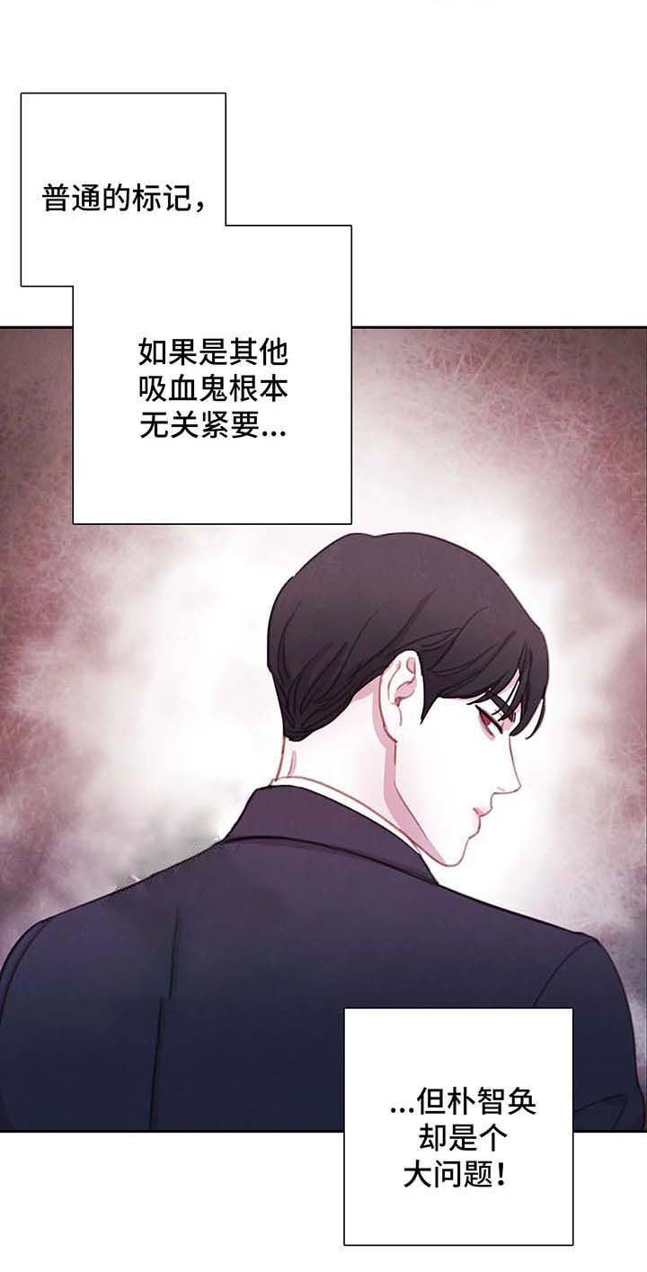 与蝙蝠共餐\/与吸血鬼共餐漫画,第50话2图