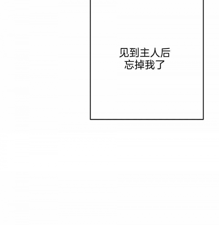 三三的家作者漫画,第33话2图