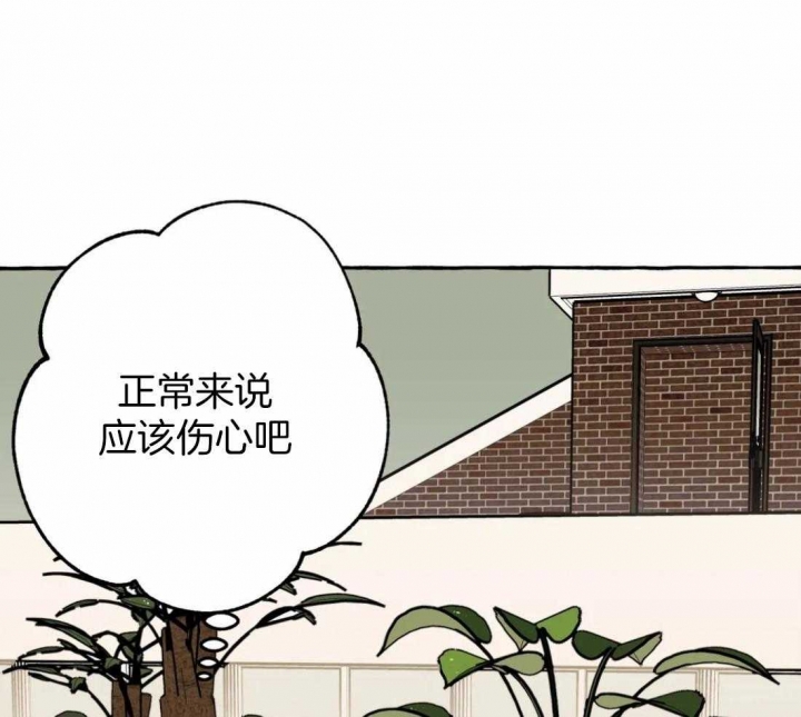 三三的书漫画,第21话1图