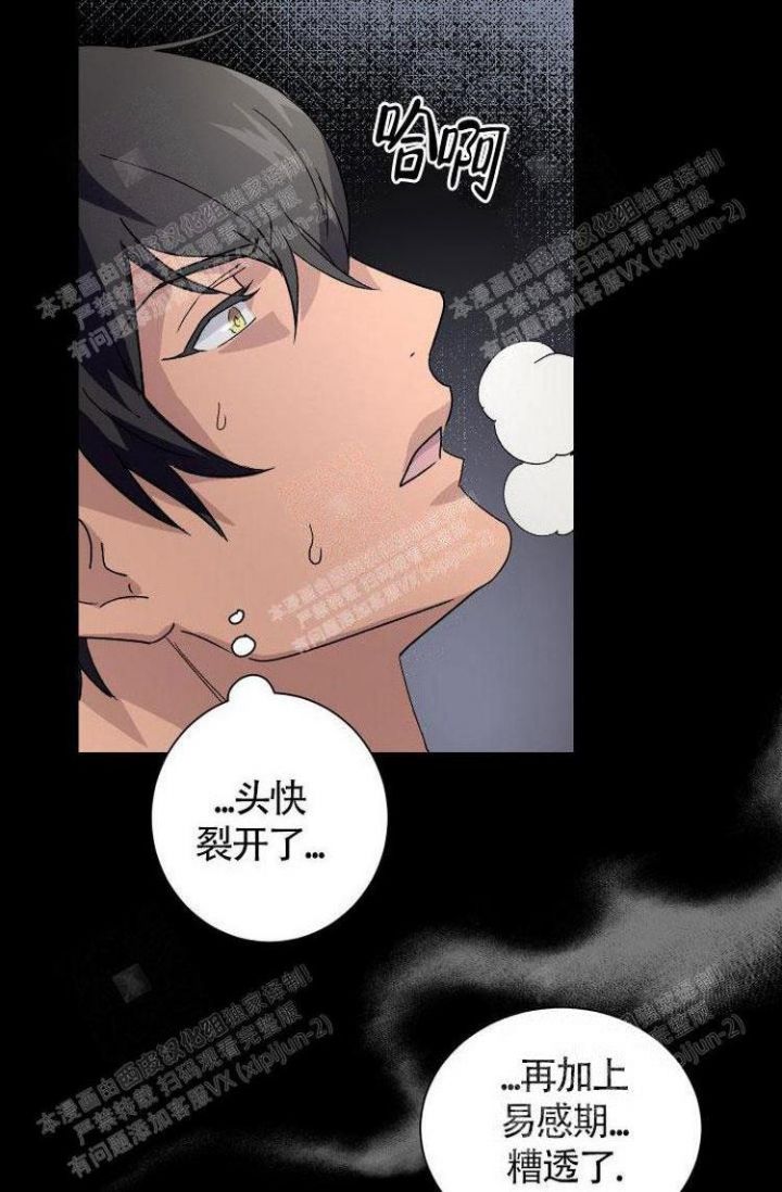 成为阿尔法的方法漫画,第9话1图