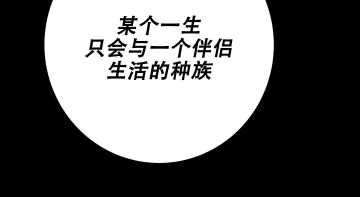 魔王逆谋(I II季)漫画,第32话1图