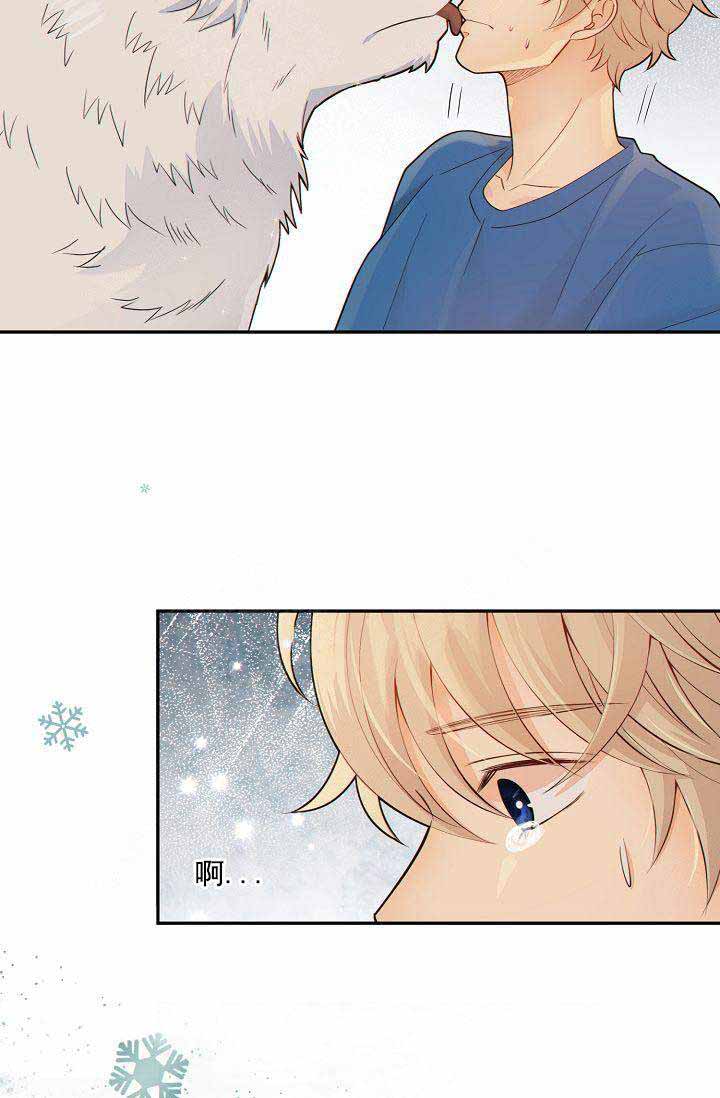 狗和狼的一组简笔画怎么画漫画,第54话2图