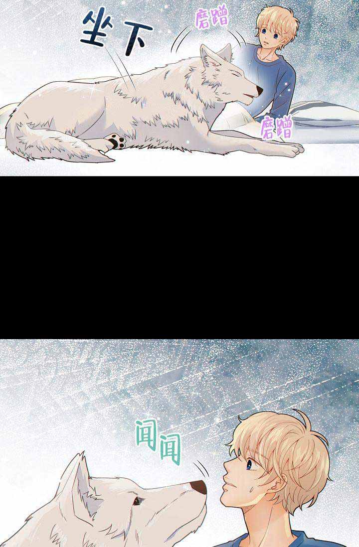 狗和狼的一组简笔画怎么画漫画,第54话2图