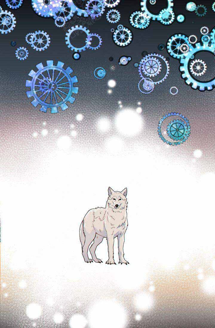 狗和狼的一组简笔画怎么画漫画,第54话2图