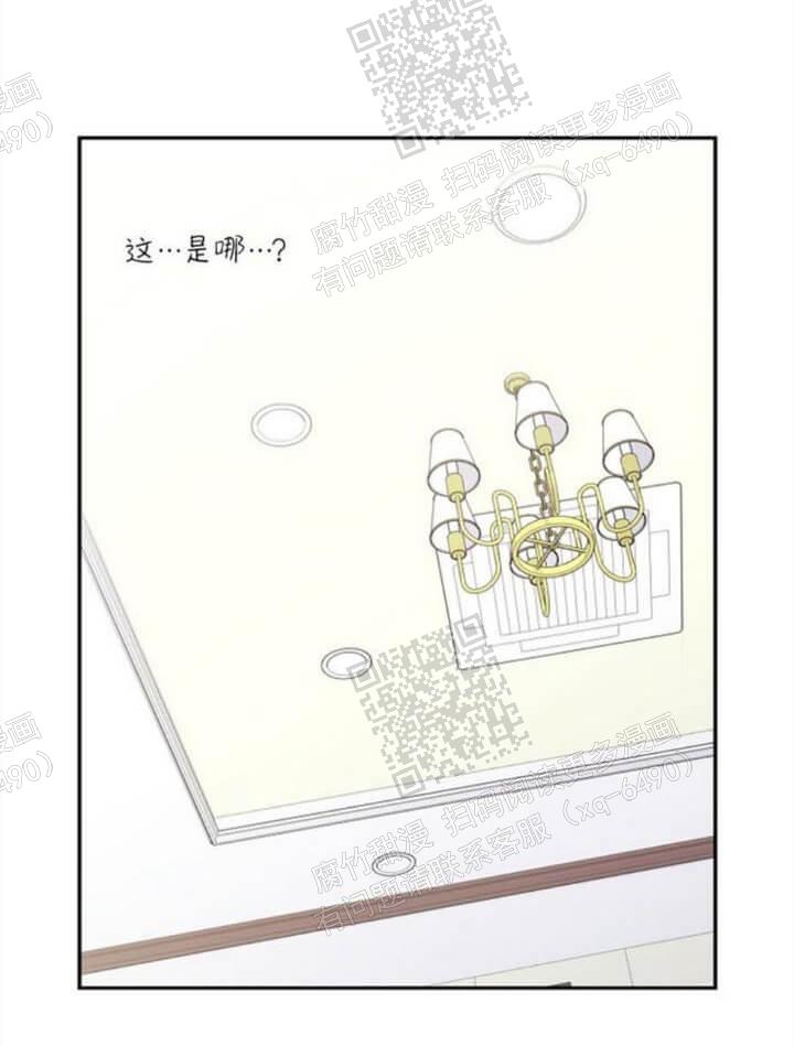 狗和狼的一组简笔画怎么画漫画,第137话2图