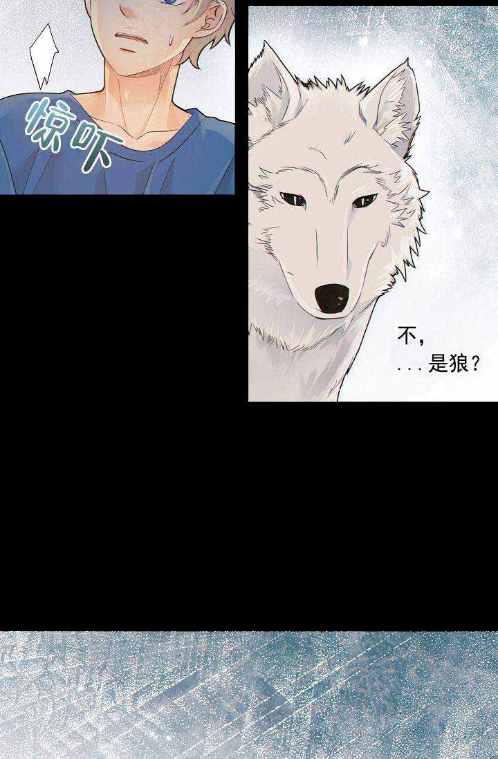 狗和狼的一组简笔画怎么画漫画,第54话1图