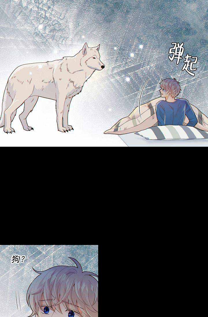 狗和狼的一组简笔画怎么画漫画,第54话2图