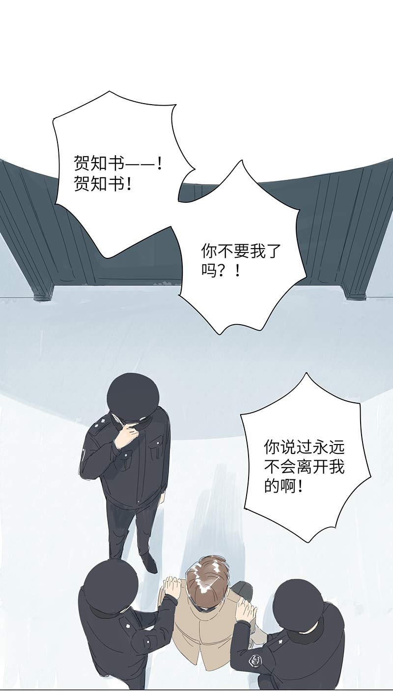 最爱你的那十年小说全文免费阅读无删减漫画,第52话2图