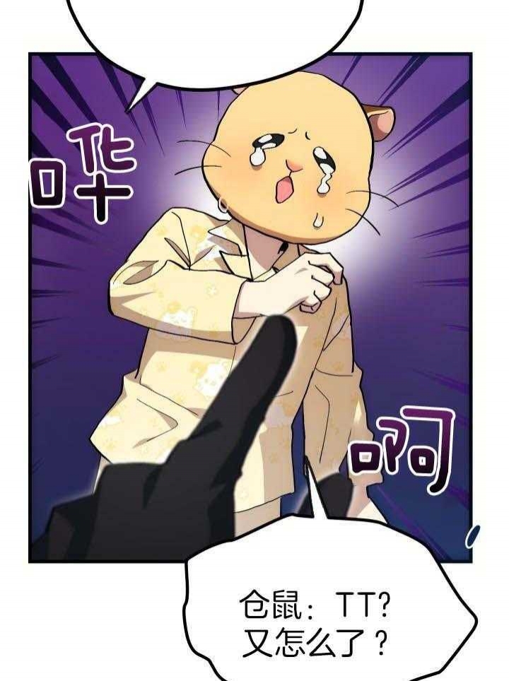 菜鸟养成记漫画,第39话1图