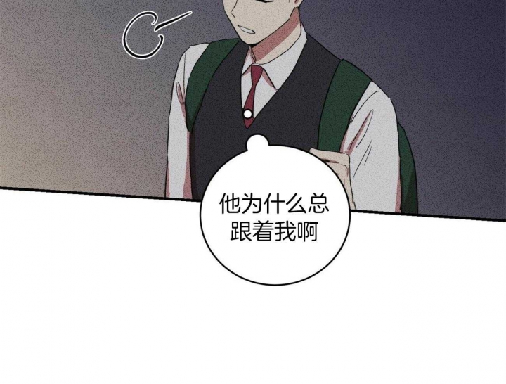 文学少年主要事迹怎么写漫画,第19话1图