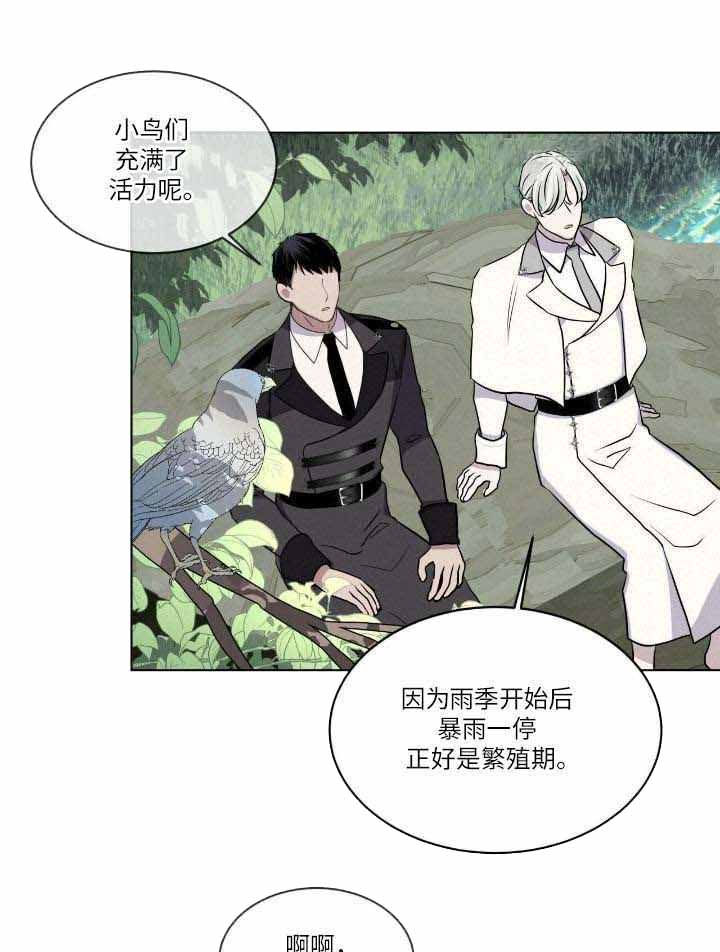 森林之海漫画,第19话1图