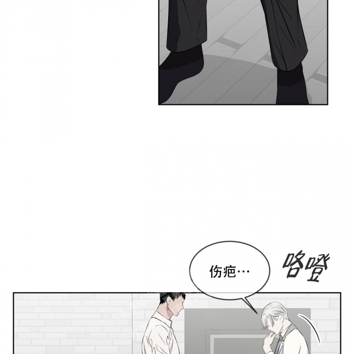 森林之海漫画免费下拉漫画,第12话1图