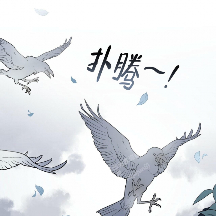 森林之梦古典吉他独奏漫画,第6话1图