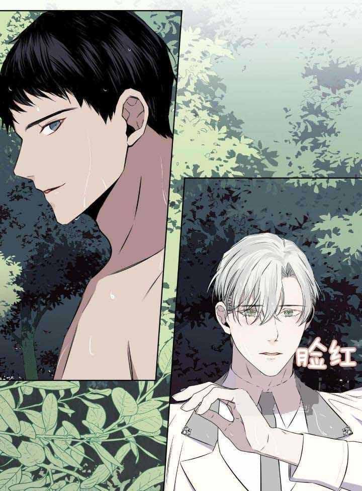 森林之海漫画,第23话1图