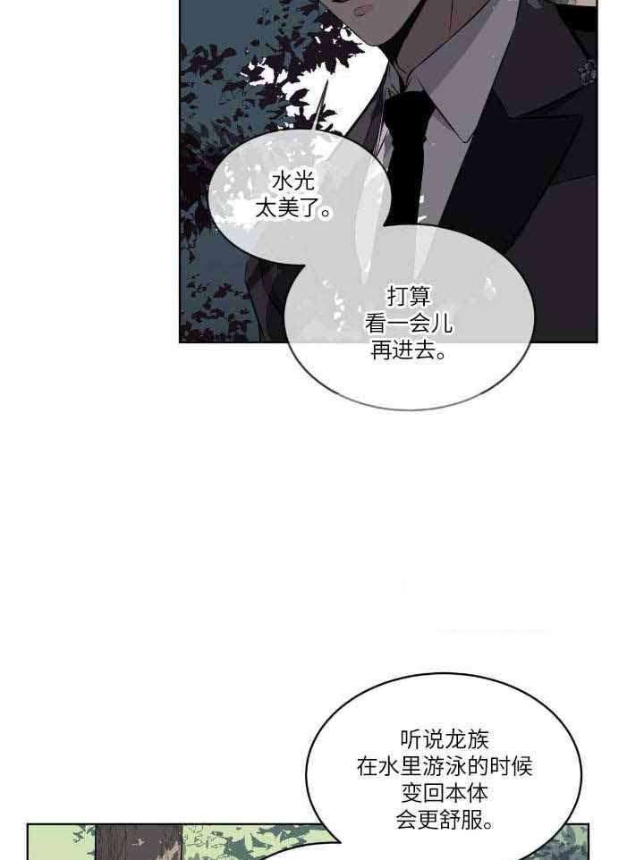 森林之海漫画,第19话1图