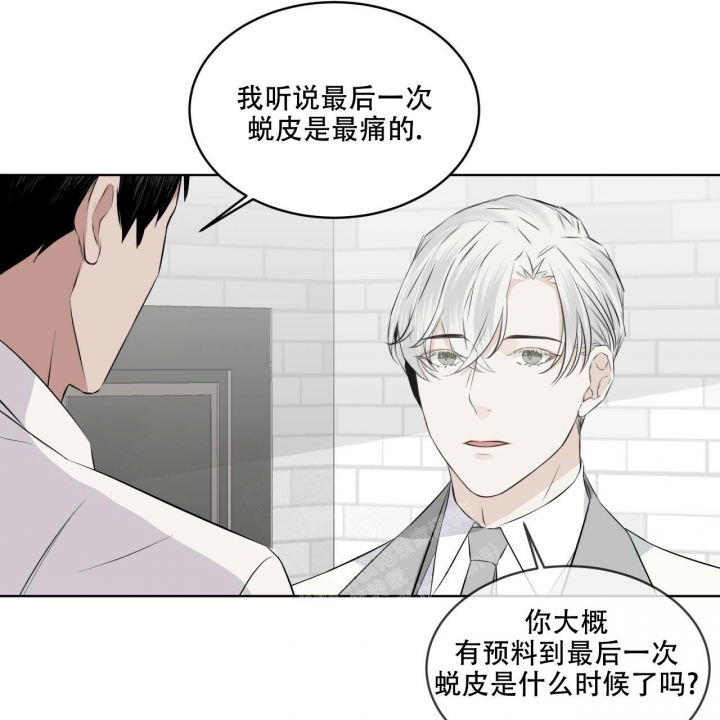 森林之海漫画,第12话1图